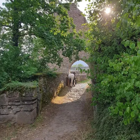 Apartamento Gutheils-ferienwohnung *