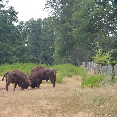 Gutheils-ferienwohnung Apartamento