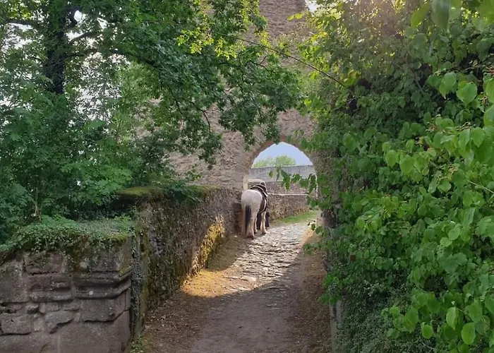 דירה Gutheils-ferienwohnung *