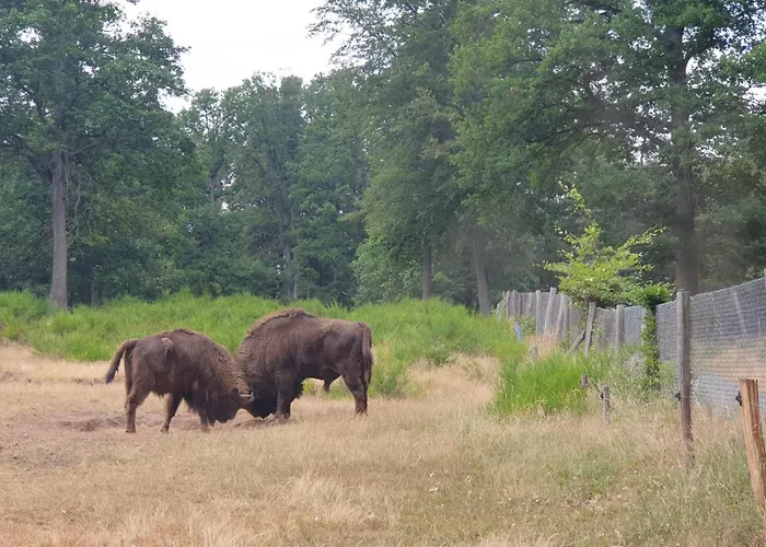 Gutheils-ferienwohnung דירה